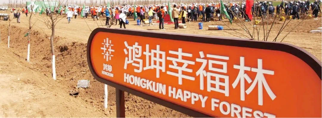 鴻坤綠色森林計(jì)劃實(shí)景拍攝
